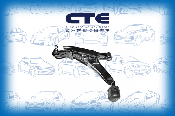 Control Arm/INFINITI/NISSAN/G20/PRIMERA (P10)