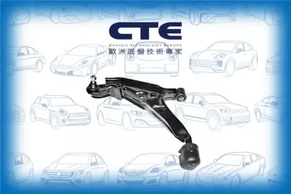 Control Arm/INFINITI/NISSAN/G20/PRIMERA (P10)