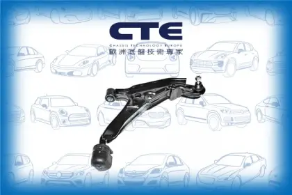 Control Arm/INFINITI/NISSAN/G20/PRIMERA (P10)
