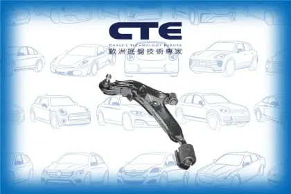 Control Arm/NISSAN/ALTIMA (L30)/ALTIMA (L31)/ALTIMA (L32)