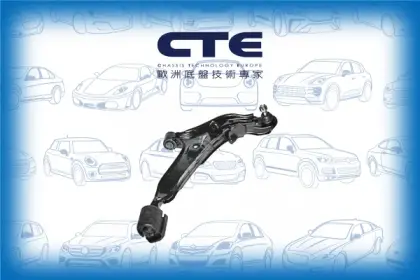 Control Arm/NISSAN/ALTIMA (L30)/ALTIMA (L31)/ALTIMA (L32)