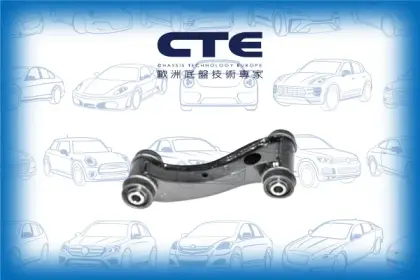 Control Arm/INFINITI/NISSAN/G20/PRIMERA (P10)/PRIMERA (P11)/PRIMERA Hatchback (P10)/PRIMERA Hatchback (P11)/PRIMERA Traveller (W10)/PRIMERA Traveller (WP11)