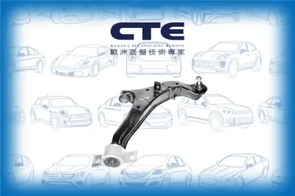 Control Arm/NISSAN/CEFIRO III Saloon (A33)/MAXIMA / MAXIMA QX V (A33)