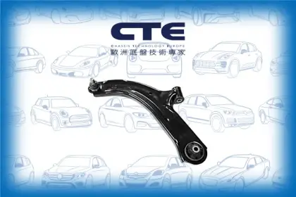 Control Arm/NISSAN/CUBE (Z12)/NV200 / EVALIA Bus/NV200 Van/TIIDA Hatchback (C11) | LATIO/TIIDA Saloon (SC11) | TIIDA LATIO
