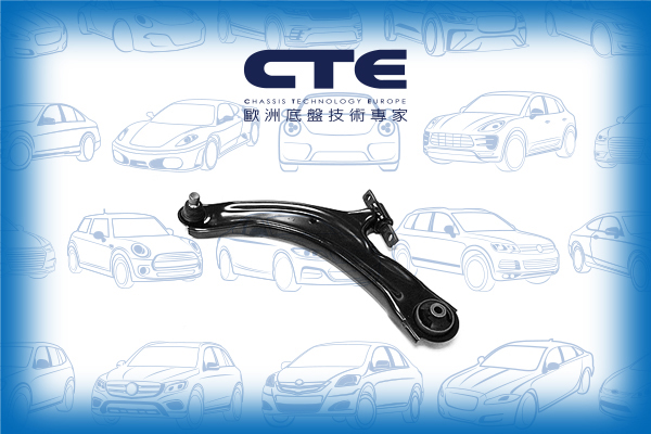 Control Arm/NISSAN/NISSAN (DFAC)/RENAULT/KOLEOS I (HY_)/QASHQAI (J10)/QASHQAI / QASHQAI +2 I (J10, NJ10, JJ10E) | DUALIS/X-TRAIL (T31)