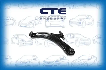 Control Arm/NISSAN/NISSAN (DFAC)/RENAULT/KOLEOS I (HY_)/QASHQAI (J10)/QASHQAI / QASHQAI +2 I (J10, NJ10, JJ10E) | DUALIS/X-TRAIL (T31)