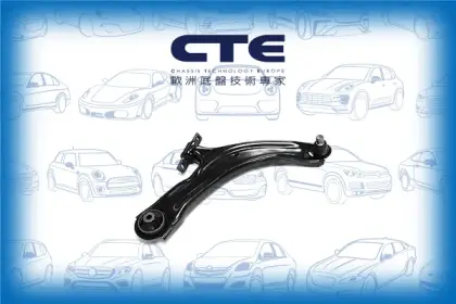 Control Arm/NISSAN/NISSAN (DFAC)/RENAULT/KOLEOS I (HY_)/QASHQAI (J10)/QASHQAI / QASHQAI +2 I (J10, NJ10, JJ10E) | DUALIS/X-TRAIL (T31)