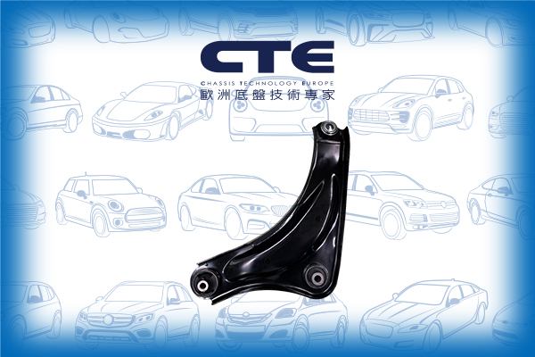 Control Arm/NISSAN/JUKE (F15)