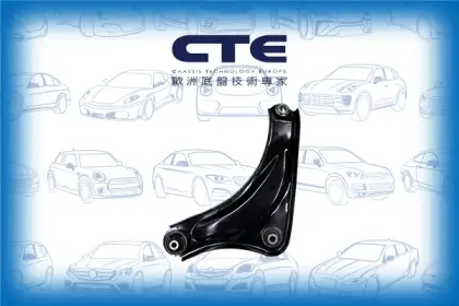 Control Arm/NISSAN/JUKE (F15)