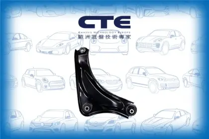 Control Arm/NISSAN/JUKE (F15)