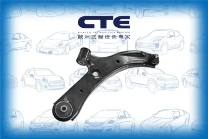 Control Arm/SUZUKI/SWIFT III (MZ, EZ)