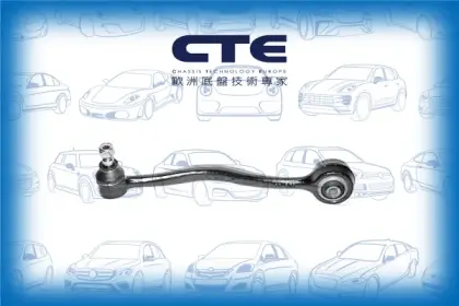 Control Arm/ALPINA/BMW/5 (E28)/5 (E34)/5 Touring (E34)/6 (E24)/B10 (E34)/B10 Touring (E34)/B7 (E28)/B7 Coupe (E24)/B9 (E28)/B9 Coupe (E24)