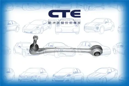 Control Arm/ALPINA/BMW/7 (E38)/B12 (E38)
