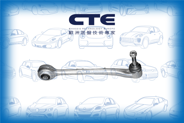 Control Arm/ALPINA/BMW/7 (E38)/B12 (E38)