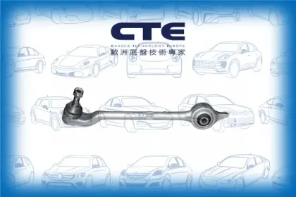 Control Arm/BMW/5 (E39)/5 Touring (E39)