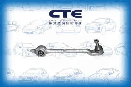 Control Arm/BMW/5 (E39)/5 Touring (E39)