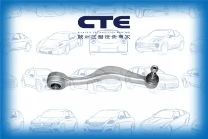 Control Arm/BMW/5 (E28)/5 (E34)/5 Touring (E34)/7 (E32)