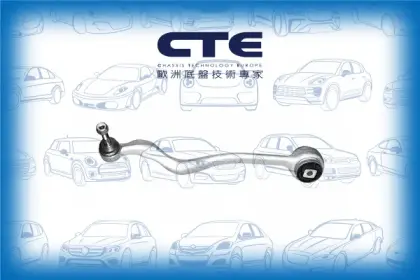 Control Arm/ALPINA/BMW/5 (E39)/5 Touring (E39)/B10 (E39)/B10 Touring (E39)/D10 (E39)/D10 Touring (E39)/Z8 Roadster (E52)