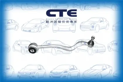 Control Arm/ALPINA/BMW/5 (E39)/5 Touring (E39)/B10 (E39)/B10 Touring (E39)/D10 (E39)/D10 Touring (E39)/Z8 Roadster (E52)