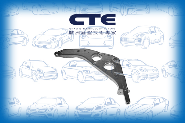 Control Arm/MINI/MINI (R50, R53)/MINI Convertible (R52)