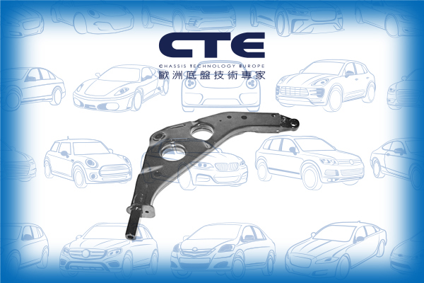 Control Arm/MINI/MINI (R50, R53)/MINI Convertible (R52)