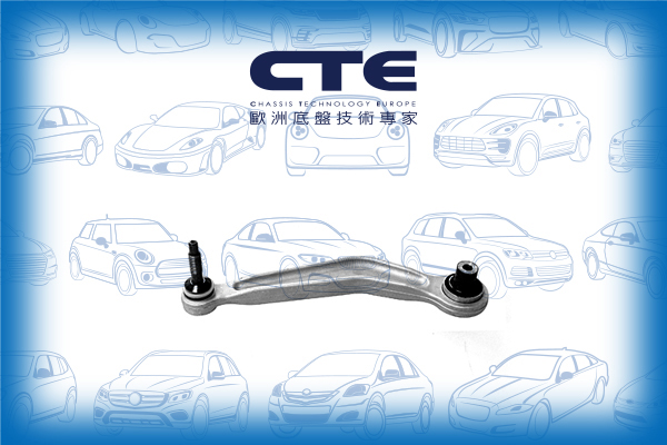 Control Arm/BMW/5 (E39)/5 Touring (E39)