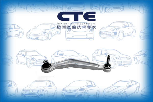 Control Arm/BMW/5 (E39)/5 Touring (E39)