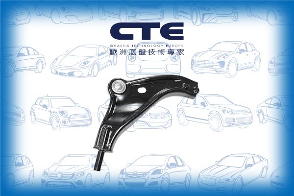 Control Arm/MINI/MINI (R56)/MINI CLUBMAN (R55)/MINI CLUBVAN (R55)/MINI Convertible (R57)/MINI Coupe (R58)/MINI Roadster (R59)