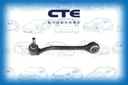 Control Arm/BMW/X3 (E83)