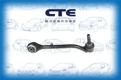 Control Arm/BMW/X3 (E83)