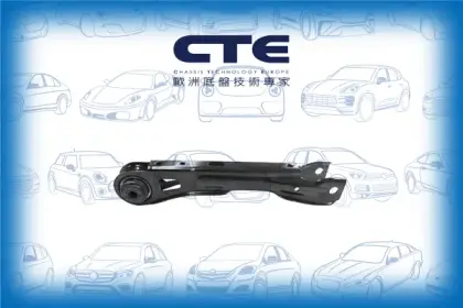 Control Arm/BMW/X1 (E84)