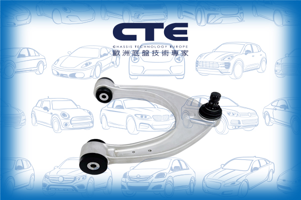 Control Arm/BMW/BMW (BRILLIANCE)/5 (G30