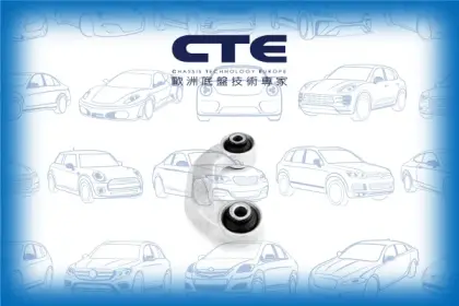 Stabilizer Link/AUDI/VOLKSWAGEN/A4 B5 (8D2)/A4 B5 Avant (8D5)/A6 C5 (4B2)/A6 C5 Avant (4B5)/A8 D2 (4D2, 4D8)/PASSAT B5 (3B2)/PASSAT B5.5 (3B3)