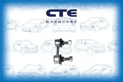 Stabilizer Link/HYUNDAI/COUPE (RD)