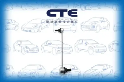 Stabilizer Link/HYUNDAI/SANTA FÉ I (SM)